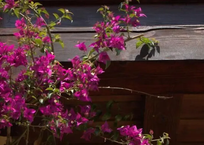 Hotel Fuente De Anjanas Estrada